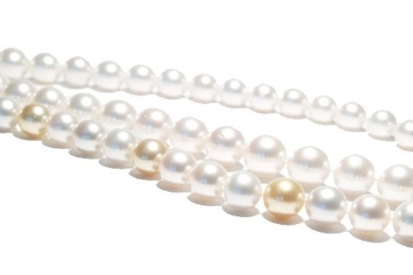 SOUTH-SEA Pearls - rare and valuable